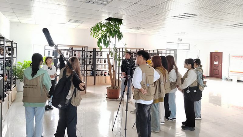 品牌策划定制服务：揭秘收费标准背后的逻辑