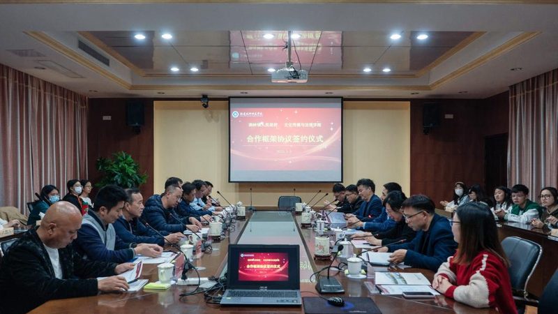 短视频代运营合同条款：关键点与风险防范